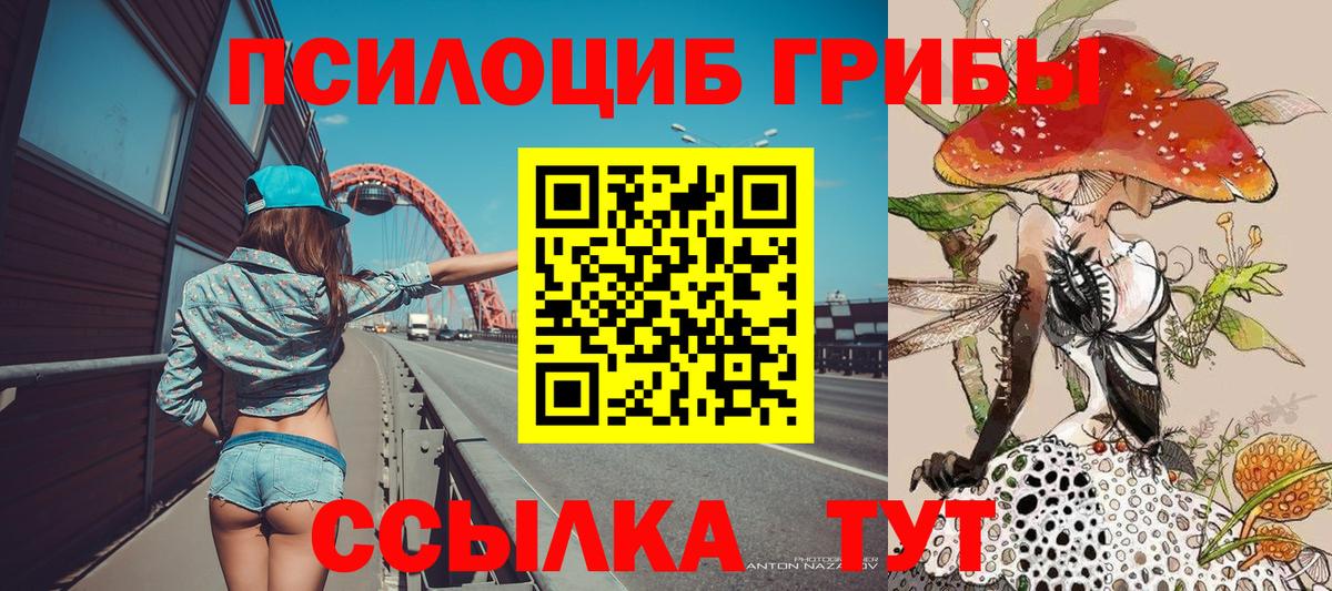 Псилоцибиновые грибы мицелий Стрежевой